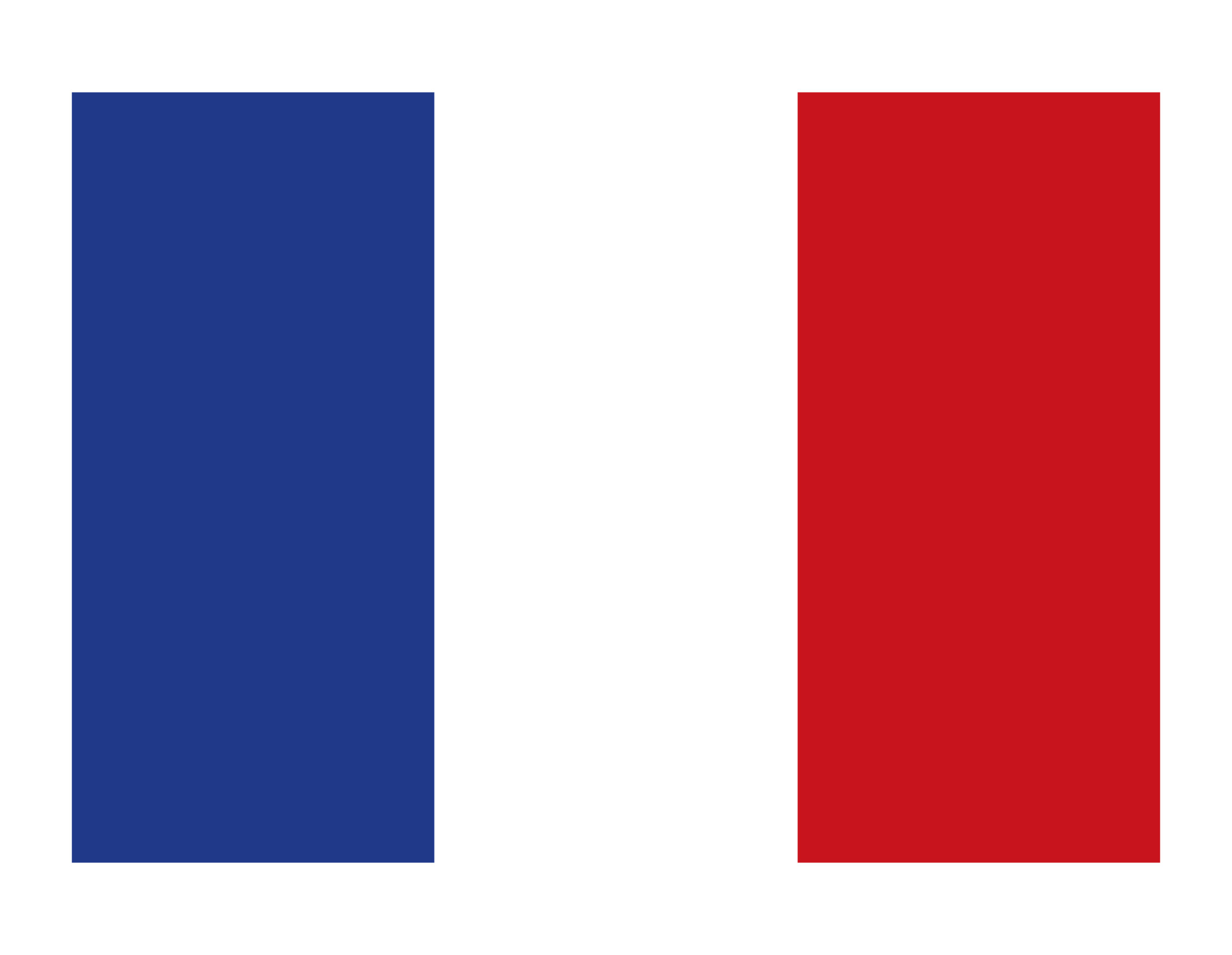 france country flag free vector